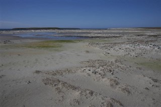 Falklandski otoci Vremenska prognoza