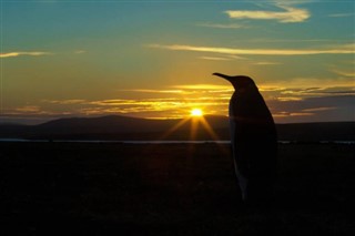 Falkland adaları hava tahmini