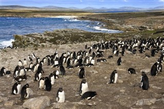 les îles Falkland prévisions météorologiques