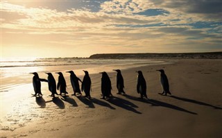 les îles Falkland prévisions météorologiques