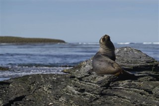 les îles Falkland prévisions météorologiques