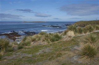 Falklandsøerne vejrudsigt