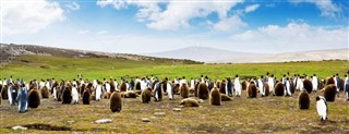 Falklandsøerne vejrudsigt