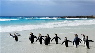 Falklandsøerne vejrudsigt