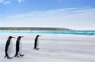 Falklandsøerne vejrudsigt