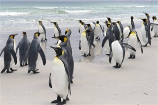 Islas Malvinas pronóstico del tiempo