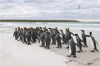 Falkland Eilanden weersvoorspelling