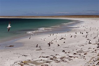 Falklandsøerne vejrudsigt