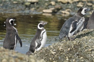 Falkland Inseln sääennuste