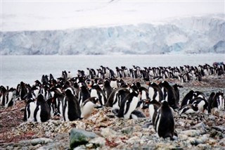 Falkland adaları hava tahmini
