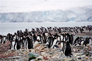 les îles Falkland prévisions météorologiques