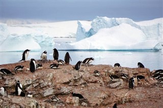 Falklandsøerne vejrudsigt