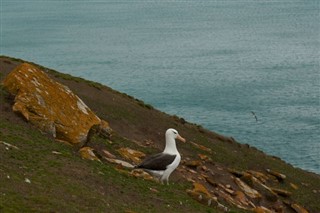 Falklandsøerne vejrudsigt