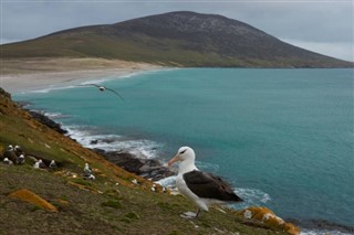 les îles Falkland prévisions météorologiques