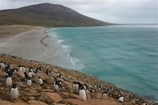 Falkland adaları hava tahmini