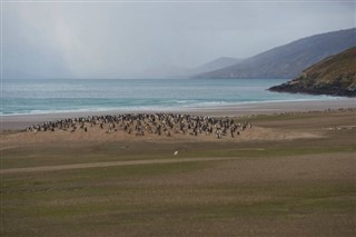 Falkland adaları Hava tahmini