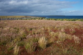 Falkland Islands předpověď počasí