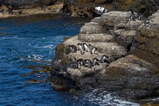 Falklandski otoci vremenska prognoza