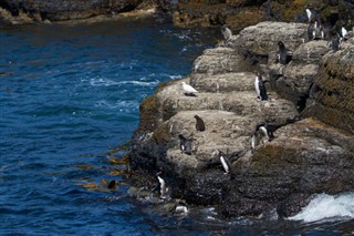 Falklandsøerne vejrudsigt