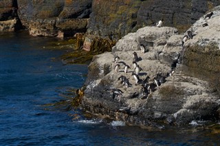 les îles Falkland prévisions météorologiques