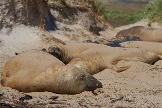 Islas Malvinas pronóstico del tiempo