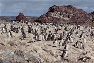 les îles Falkland prévisions météorologiques