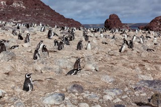 Falkland Islands předpověď počasí