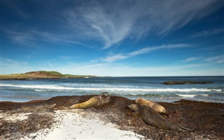 Falkland Islands weather forecast
