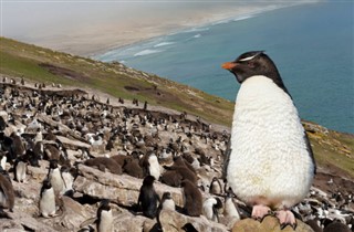 les îles Falkland prévisions météorologiques