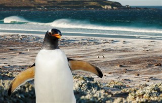 Falklandski otoci vremenska prognoza