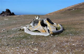 Falklandsøerne vejrudsigt