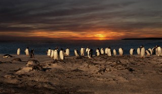 Falklandsøerne vejrudsigt