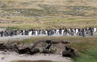 Falklandsøerne vejrudsigt