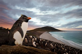 les îles Falkland prévisions météorologiques