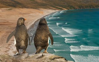 Falkland adaları hava tahmini