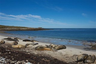 Falklandsøerne vejrudsigt