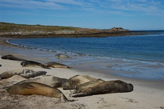 les îles Falkland prévisions météorologiques