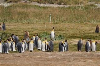 Falkland Eilanden Weersverwachting