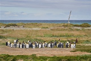 Falklandsøerne vejrudsigt
