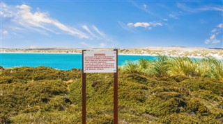 Falklandsøerne vejrudsigt