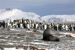 les îles Falkland prévisions météorologiques