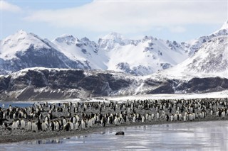 Falklandsøerne vejrudsigt