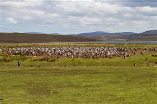 Falkland adaları hava tahmini
