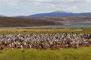 Falkland adaları hava tahmini