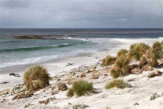 Falklandsøerne vejrudsigt