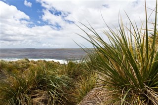 Falklandsøerne vejrudsigt