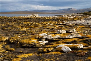 Falkland adaları hava tahmini