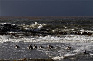Falklandsøerne vejrudsigt