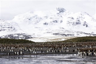 Falkland adaları hava tahmini