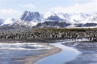 Falkland adaları hava tahmini